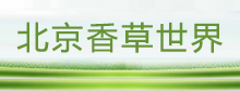 北京香草世界网站建设项目